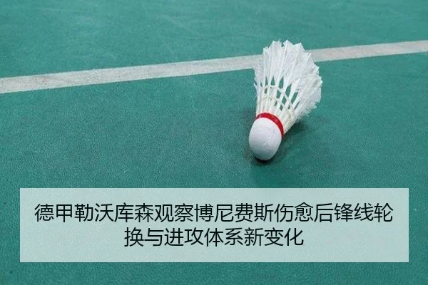 德甲勒沃库森观察博尼费斯伤愈后锋线轮换与进攻体系新变化（kaiyun）
